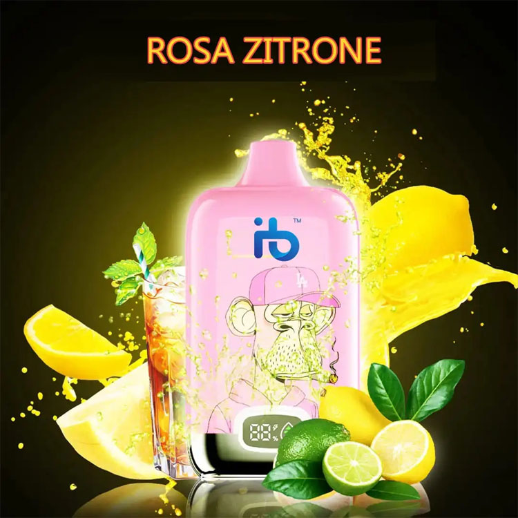 Understanding the Basics of an E-Cigarette: An Overview